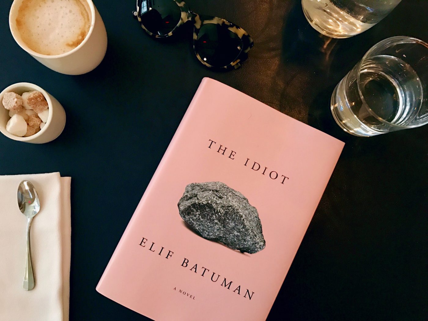 the idiot elif batuman book review